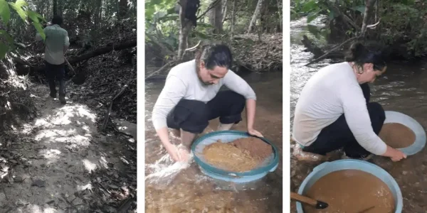 Figura 5 – Procedimento amostral. 1) Técnico Francisco analisando o melhor local de coleta de amostra dentro da drenagem. 2) Geólogo Pedro realizando o processo de deslamagem da amostra e passagem por uma peneira fina. 3) Início do processo de bateamento da amostra.