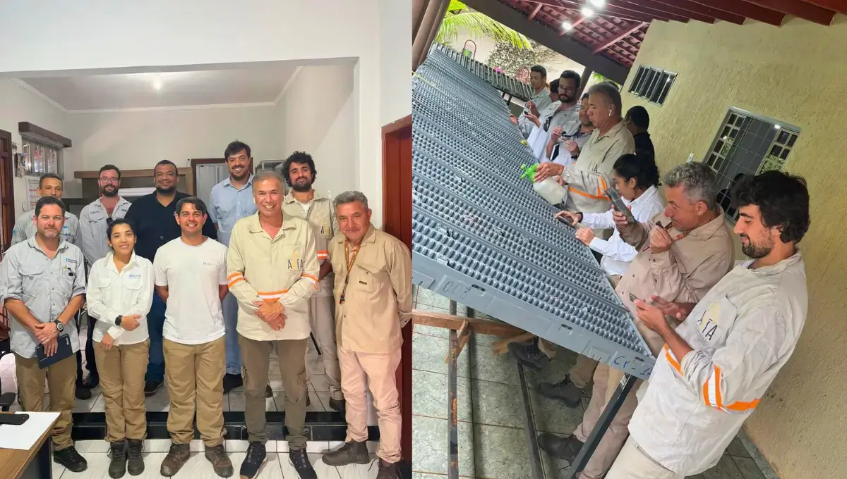 Serviço Geológico do Brasil e Universidade de Brasília reforçam parceria com Axía Mineração no Projeto Cobre Brasil em Goiás